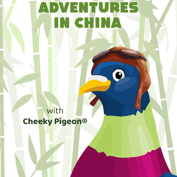Adventures In China