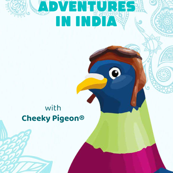 Adventures In India